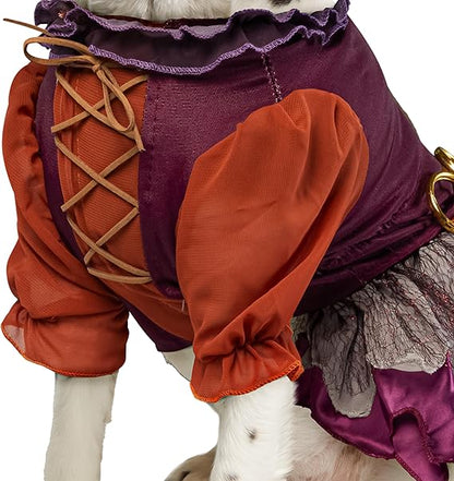 Rubies Disney Hocus Pocus Mary Sanderson Pet Costume and Wig