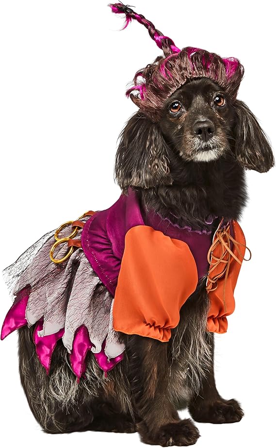 Rubies Disney Hocus Pocus Mary Sanderson Pet Costume and Wig
