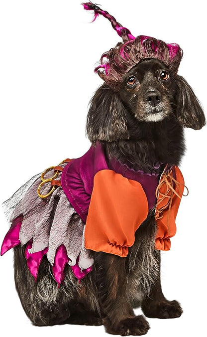 Rubies Disney Hocus Pocus Mary Sanderson Pet Costume and Wig