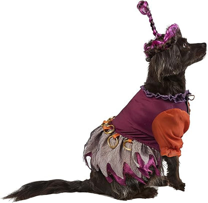 Rubies Disney Hocus Pocus Mary Sanderson Pet Costume and Wig
