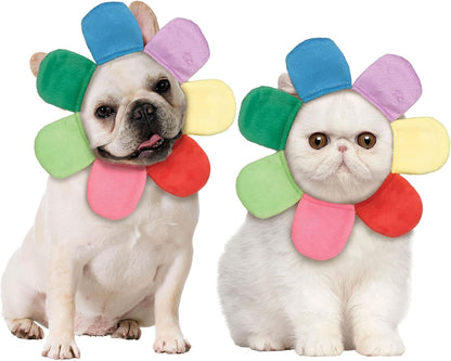 Rainbow Flower Petal Pet Hood