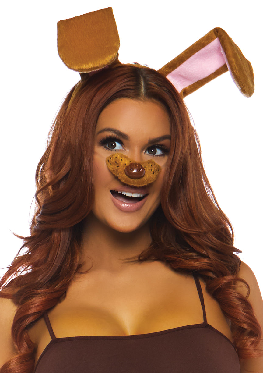 2 Piece Doggie Costume Kit