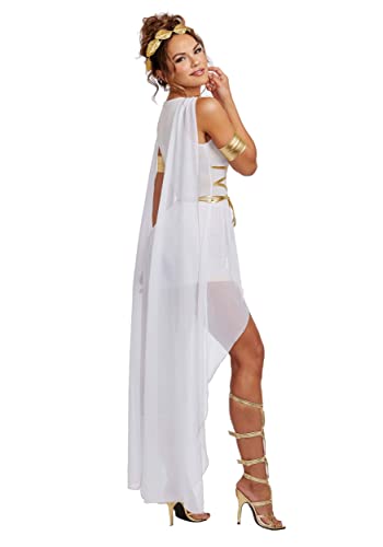 Dreamgirl Venus Costume