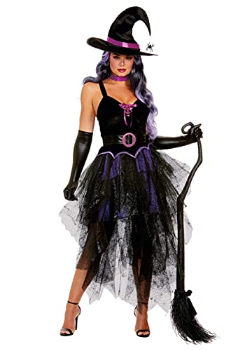 Dreamgirl Boo-Tiful Witch Costume