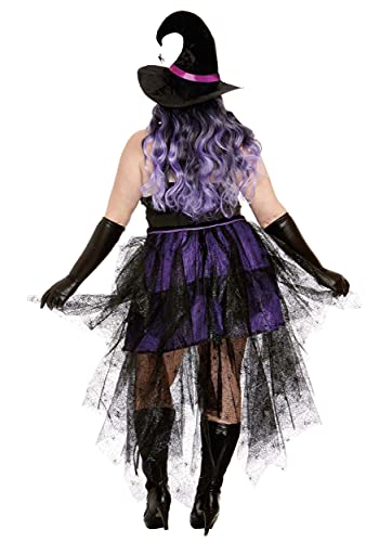Dreamgirl 12018X Boo-Tiful Witch Costume