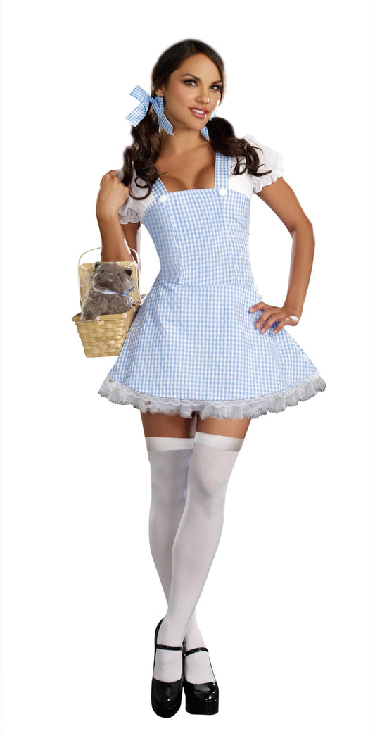 Dreamgirl 8909 Blue Gingham Dress