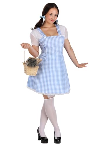 Dreamgirl 8909 Blue Gingham Dress