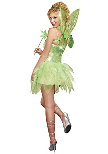 Dreamgirl Fairy-Licious Costume