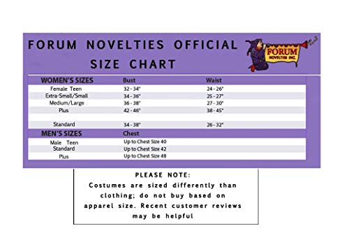 Forum Novelties Pirate Vixen Costume