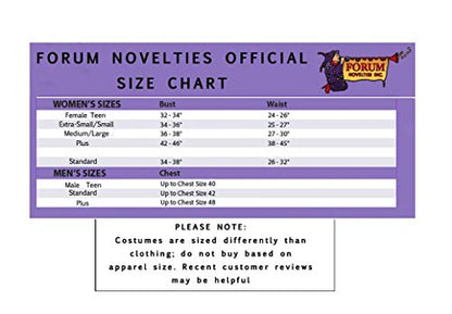 Forum Novelties Pirate Vixen Costume