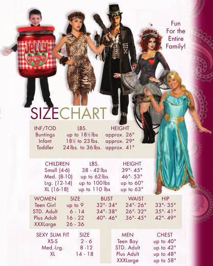 Alice Costume for Adults