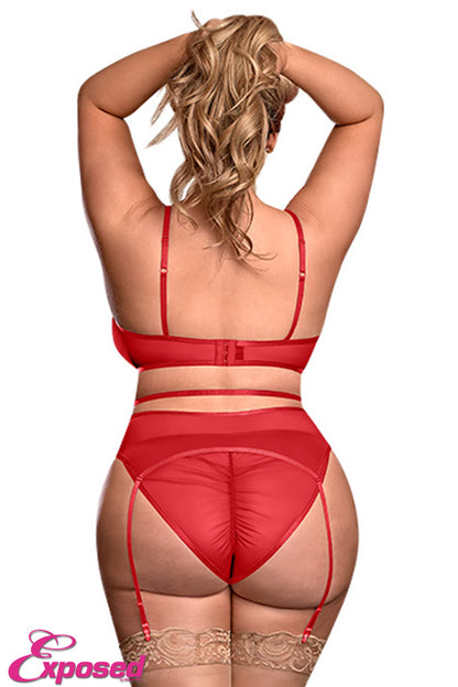 M213 Bra, Garter Belt & Panty Set - Back View