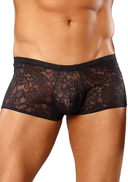 Envy Body Shop Sissy Pouch Lace Boyshorts Panty