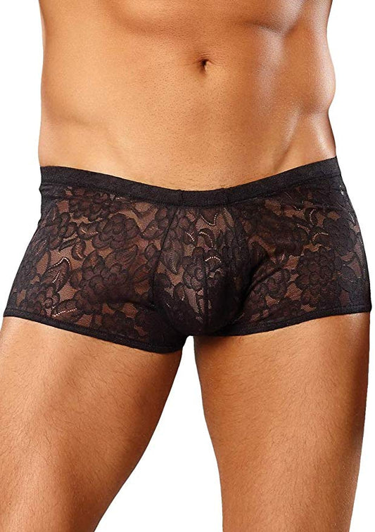 Envy Body Shop Sissy Pouch Lace Boyshorts Panty