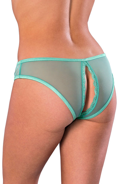 P411 Crotchless Panty - Back View