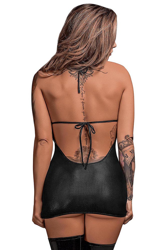 PAK220 Xena - Back View