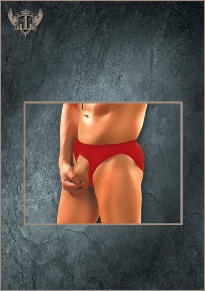 PAK826 Pouchless Brief