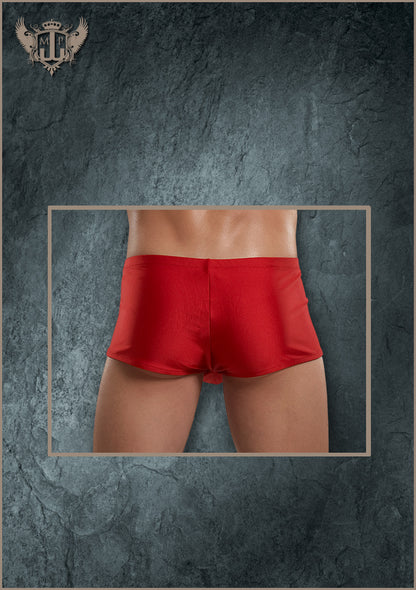 PAK835 Zipper Short - Back View