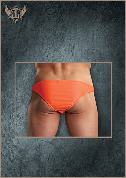 PAK871 Brazilian Pouch Bikini - Back View