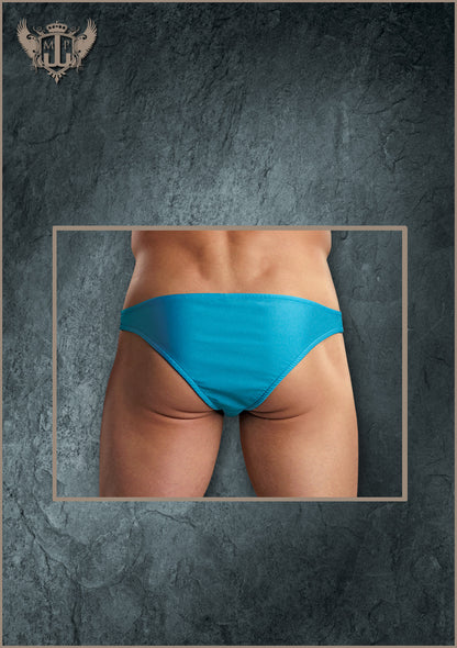 PAK871 Brazilian Pouch Bikini - Back View