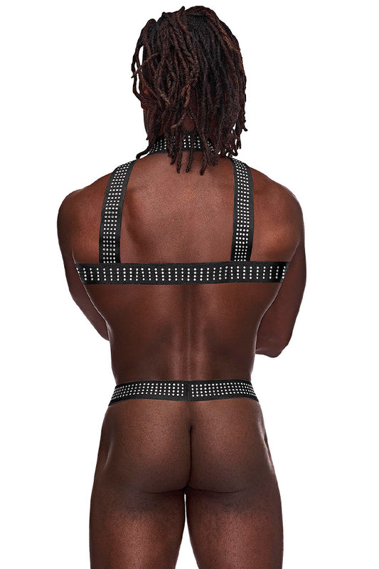 PAK892 Elastic Studded Harness with Ring - Back View