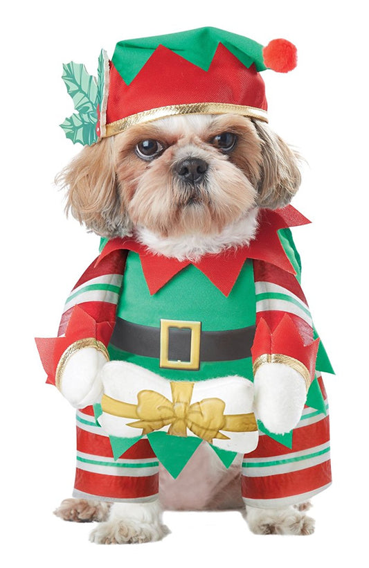 California Costume Elf Pup Dog Costume