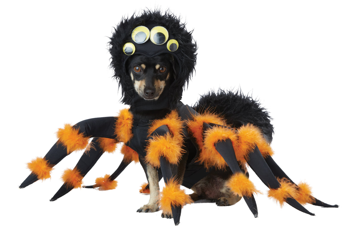 California Costumes Spider Pup Dog Costume
