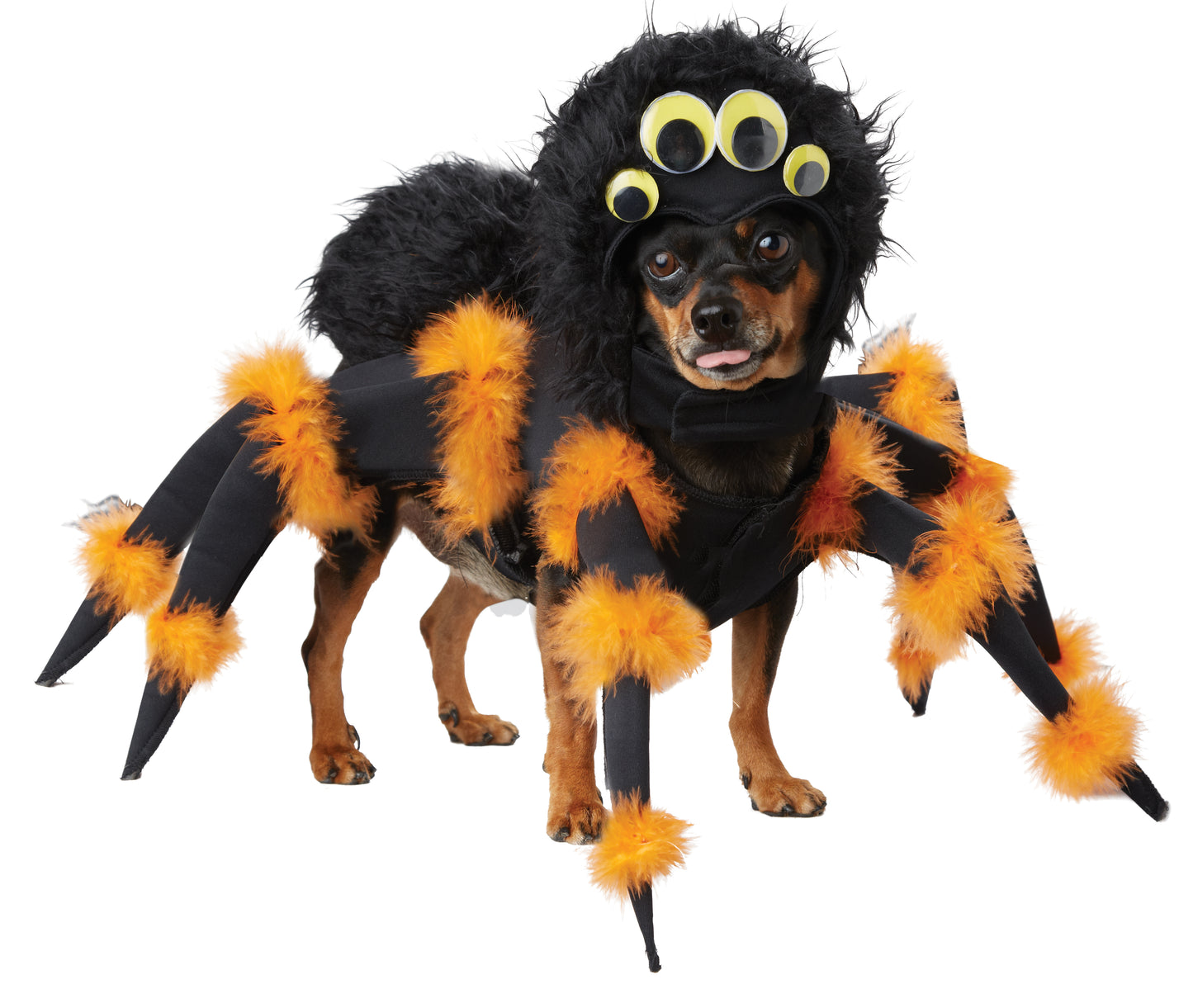 California Costumes Spider Pup Dog Costume