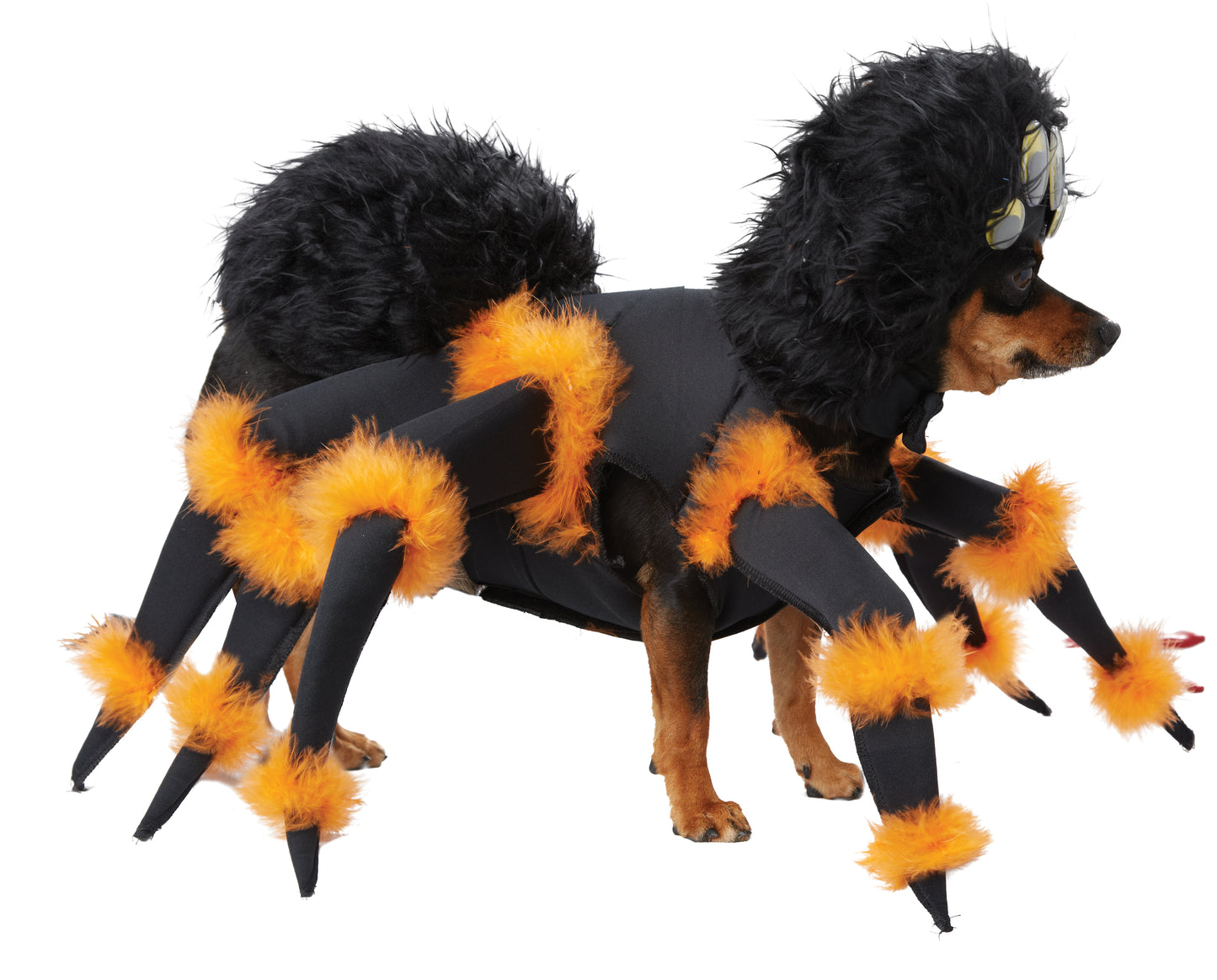 California Costumes Spider Pup Dog Costume