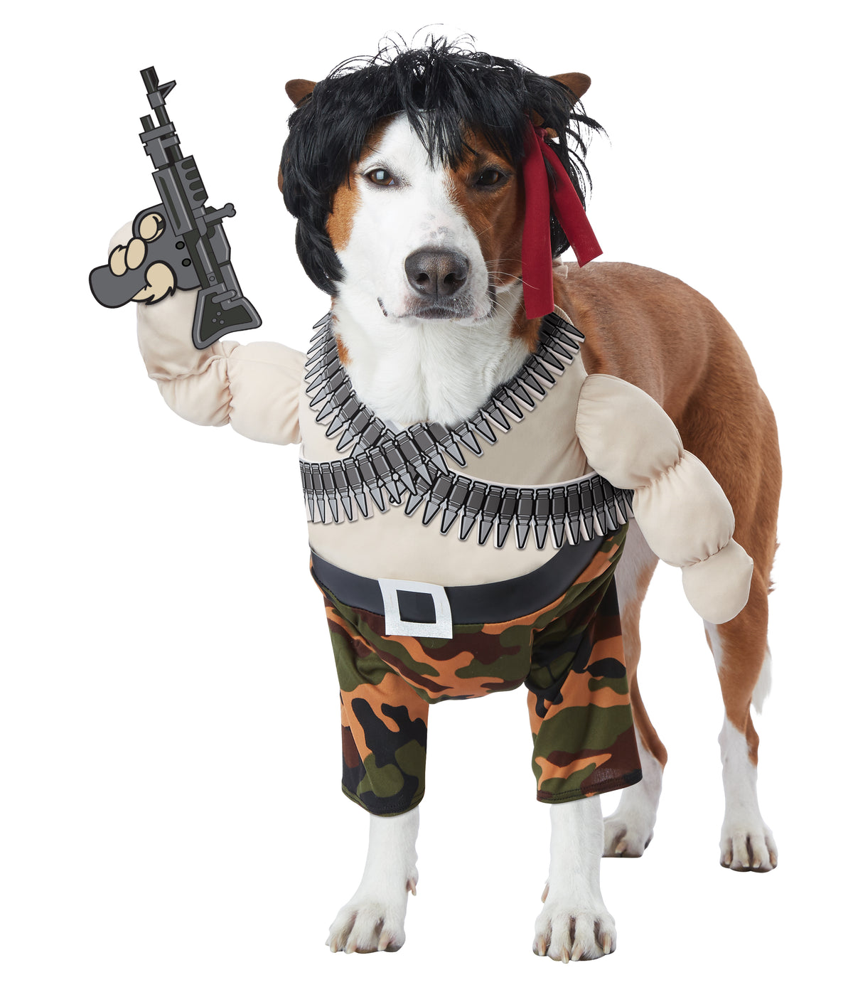California Costume Action Hero Dog Costume