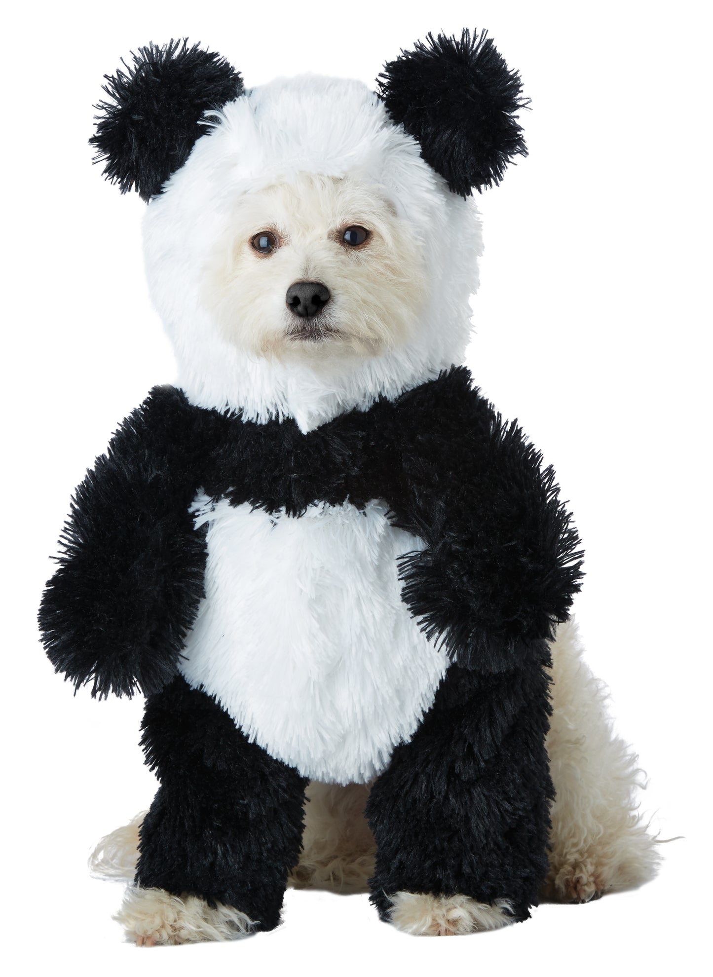 California Costume Panda Pooch Dog Costume