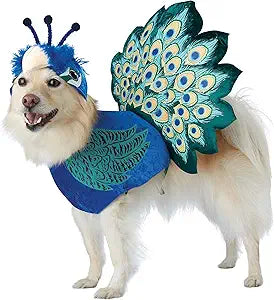 PRETTY AS A PEACOCK/PET