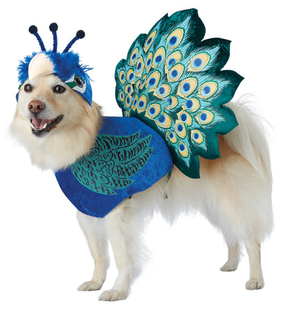 PRETTY AS A PEACOCK/PET