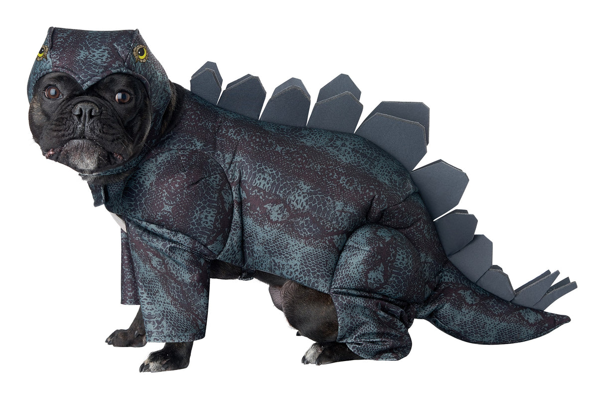 Animal Planet PET20168 Stegosaurus Dog Costume