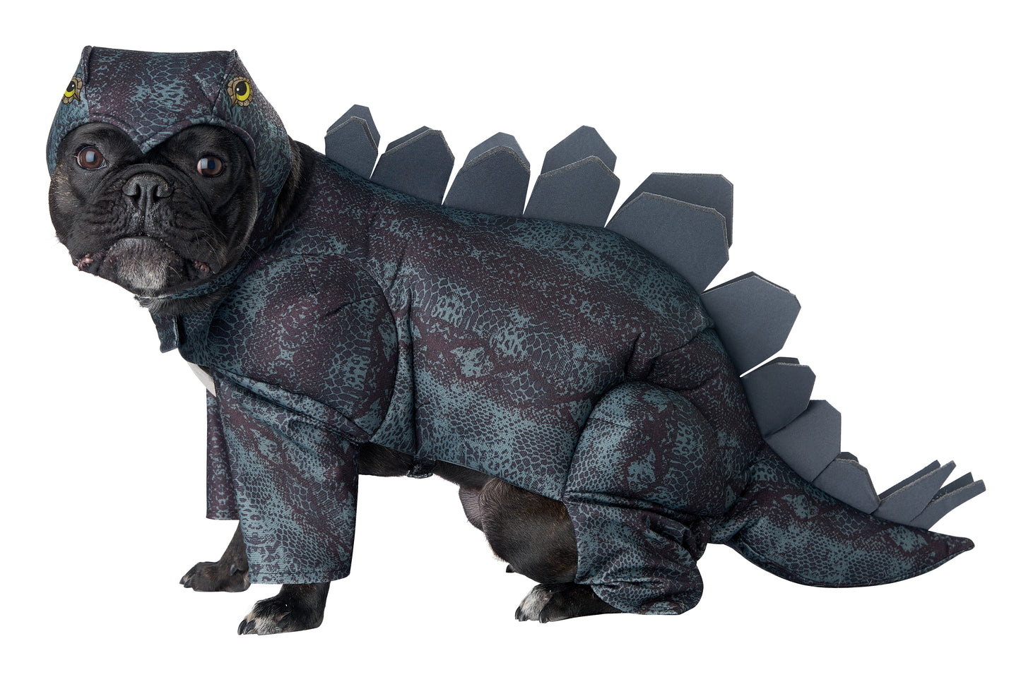 Animal Planet PET20168 Stegosaurus Dog Costume