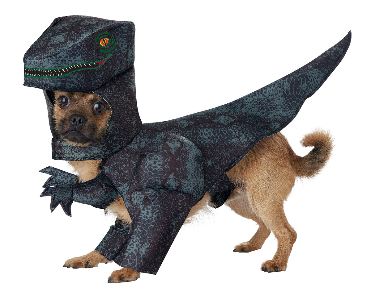 California Costume PUPASAURUS REX COSTUME