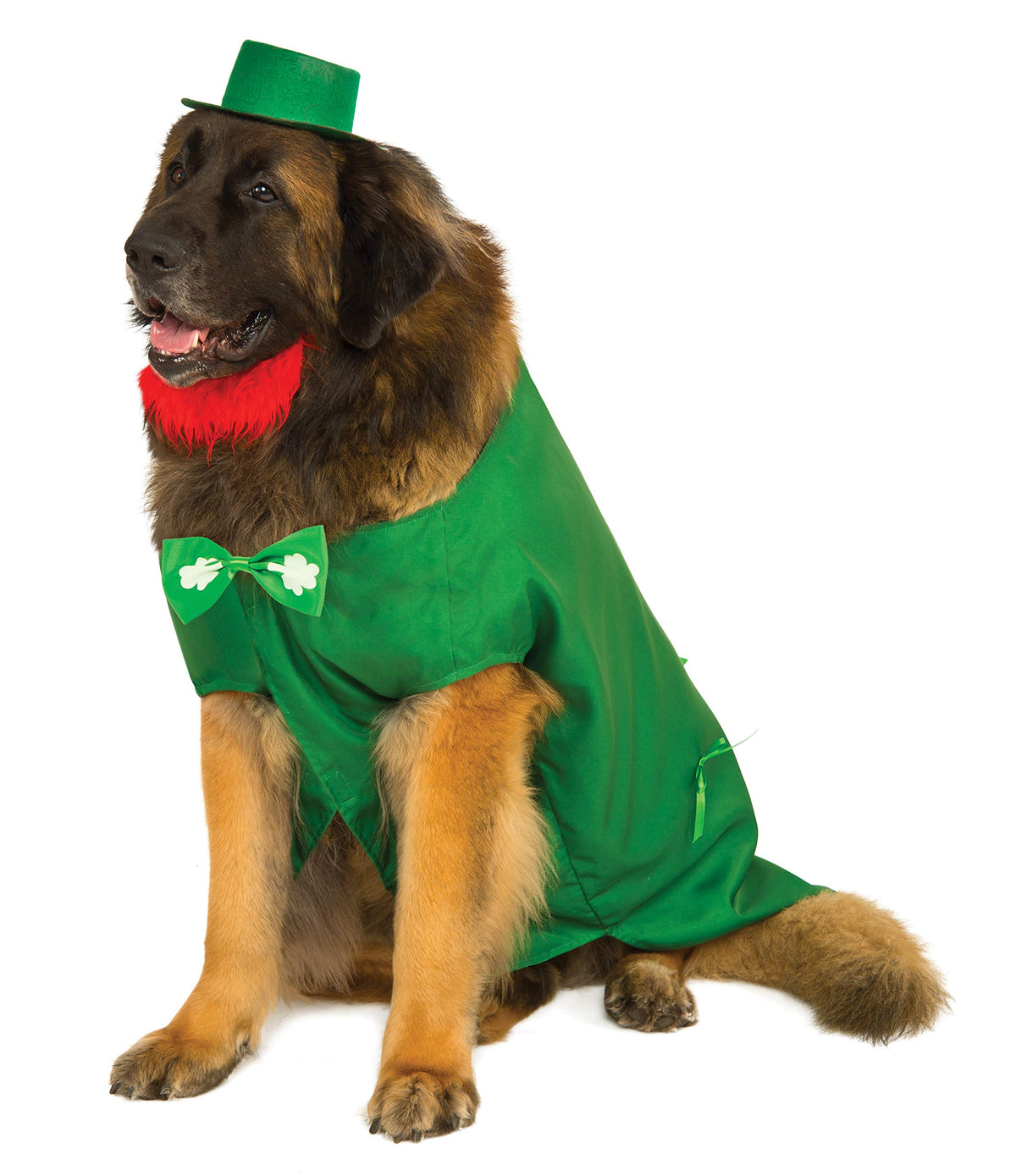 Rubie's Leprechaun Big Dog Boutique Costume