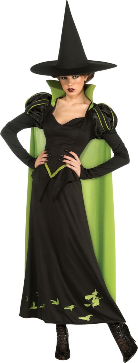 Rubie's Wicked Witch Adult Costume