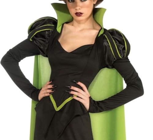 Rubie's Wicked Witch Adult Costume