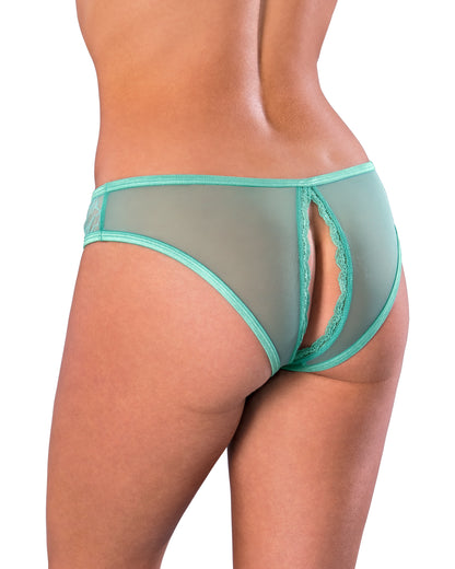 W411 Crotchless Panty w/ wipes - Back View