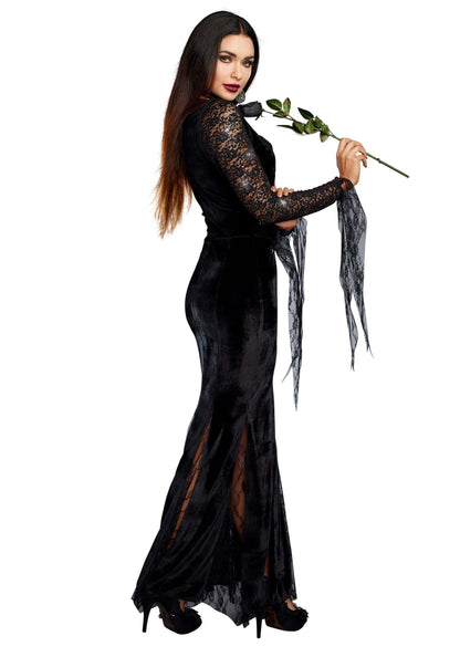 Dreamgirl Frightfully Beautiful Costume