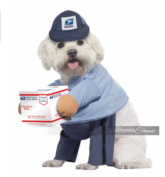 California Costume US MAIL CARRIER