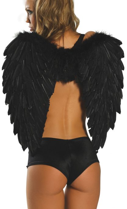 Feather Wings RM-1361
