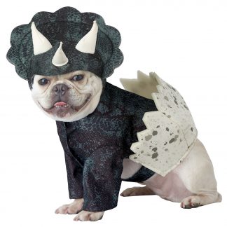 Dino Pup Dog Costume CCC-PET20159