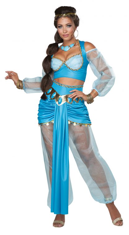 Arabian Princess Adult Costume