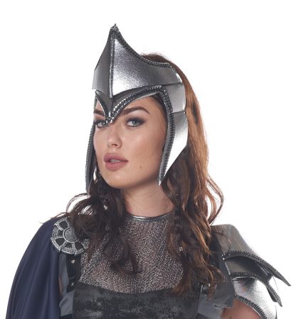 Lady Knight Adult Costume