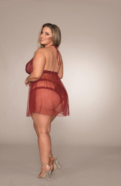 Plus Size Stretch Lace and Mesh Babydoll