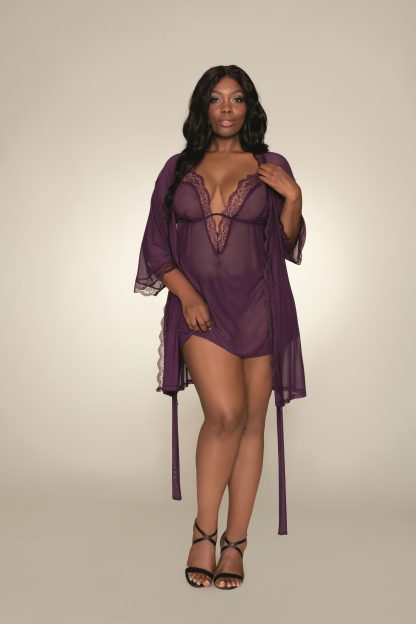 Plus Size Stretch Mesh Chemise and Robe Set
